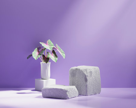 3D rendering platform podium with plant product presentation backgroundの写真素材