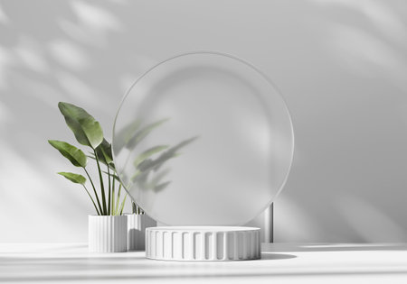 3D rendering platform podium with plant product presentation backgroundの写真素材