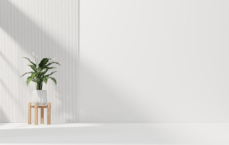 White wall empty space background with plant for architecture showing space 3d renderingの写真素材