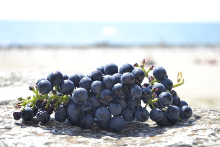 Grapes