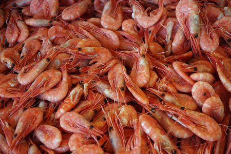 Shrimps, seafoodの写真素材
