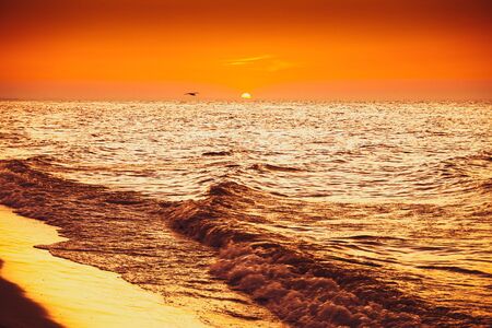 Sunset - sun reflecting in sea/ ocean, shoreの写真素材