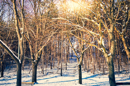 Frozen lake covered with snow in winterの写真素材
