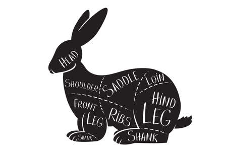 Butcher's guide - rabbit - vector illustrationのイラスト素材