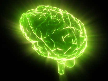 Human brain isolated on black background - 3D illustration