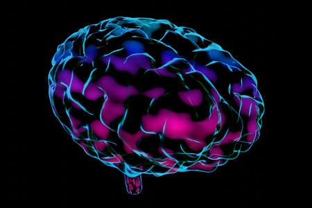 Human brain isolated on black background - 3D illustration