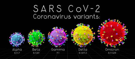 SARS-CoV-2 Covid-19 Coronavirus variants: alpha, beta, gamma, delta, omicron - 3D illustrationの写真素材