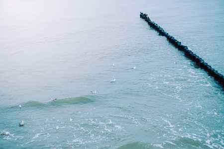 Groyne on a coast