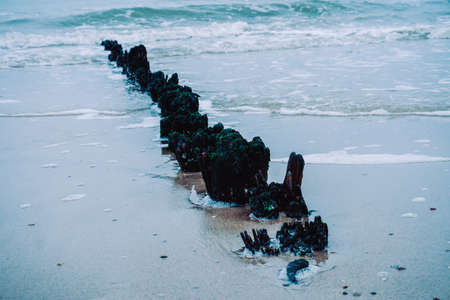 Old groyne on a shoreの写真素材