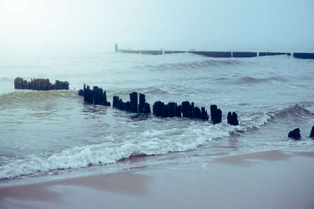 Old groyne on a shoreの写真素材