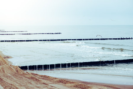 Groynes on a shore, Baltic Sea, Polandの写真素材