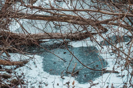 Frozen swamp in winter, Kolobrzeg Podczele, Poland