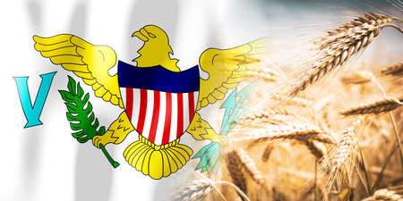American Virgin Islands - flag and ripe rye field - crops, cereal, harvest concept