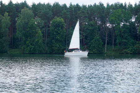 Sailboat swimming on a lake, shore with trees