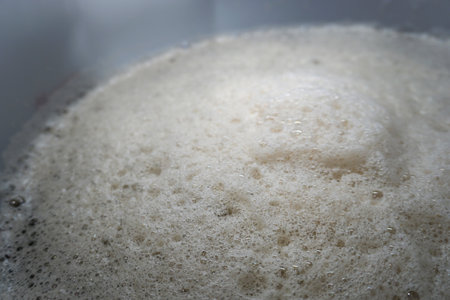 Beer yeast foam - alcohol fermentation processの写真素材