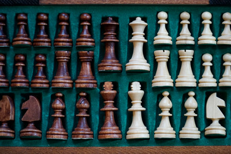 Black and white wooden chess pieces in a box