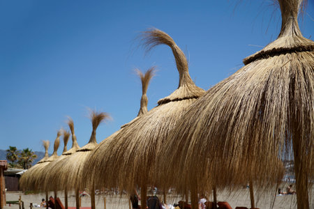 Straw umbrellas on a beach and cloudless skyの写真素材