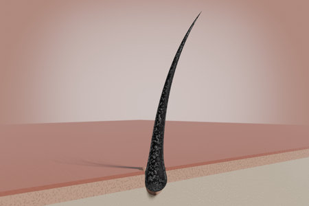Single hair follicle - 3D illustrationの写真素材