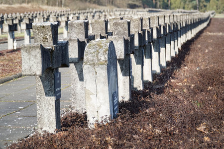 Palmiry, Poland - March 3rd, 2024 - Cross tombstones at Cemetery in the middle of Kampinos National Parkのeditorial素材