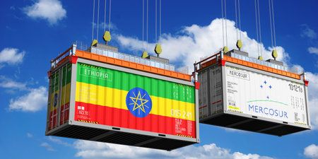 Shipping containers with flags of Ethiopia and Mercosur - 3D illustration