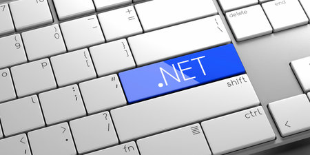 NET domain - modern computer keyboard - 3D illustration