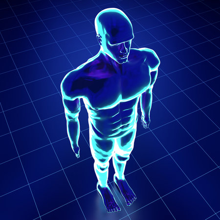 Male anatomy - standing model - 3d illustrationの写真素材