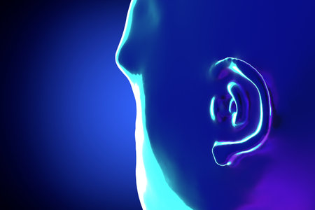 Male ear anatomy - 3d illustrationの写真素材