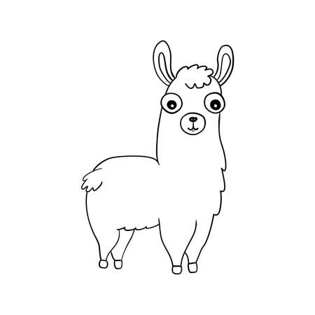 Llama animal outline for children coloring book. Lama glama.のイラスト素材