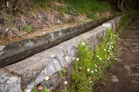 Detail of levada canal at Levada das 25 Fontes trail, Madeira island, Portugal.