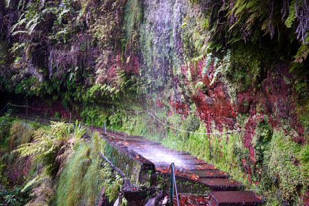 Levada to Rei. Water from waterfall falling on footpath next to levada - irrigation channel in Madeira, Portugal. Nature scenery.の写真素材