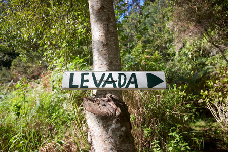 Signpost to levada on a tree in Madeira, Portugal.の写真素材