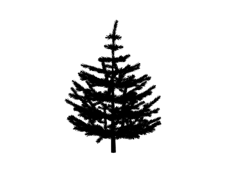 black contour fir on white backgroundの写真素材