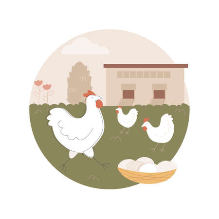 Free run chicken and eggs abstract concept vector illustration.のイラスト素材