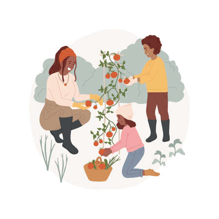 Harvesting isolated cartoon vector illustrations.のイラスト素材