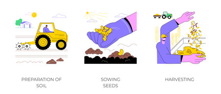 Cultivation of crops isolated cartoon vector illustrations.のイラスト素材