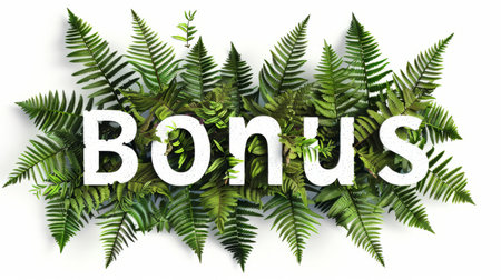 The word Bonus created in Fern Leaf Letters.の素材