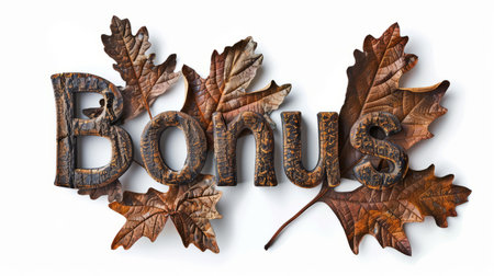 The word Bonus created in Oak Leaf Letters.の素材