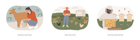 Organic food products isolated cartoon vector illustrations seのイラスト素材