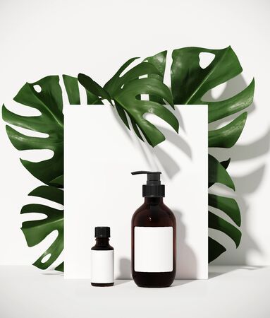 Minimal cosmetic background for product presentation. Tropical green leaves of monstera philodendron with white step background. 3d render illustration.の写真素材
