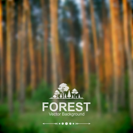 Vector blurred forest backgroundのイラスト素材
