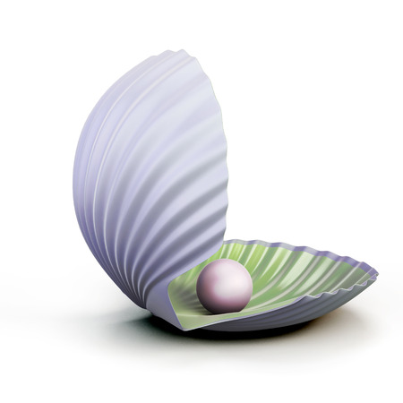 Shell pearl isolated on white background. 3d illustration.の写真素材