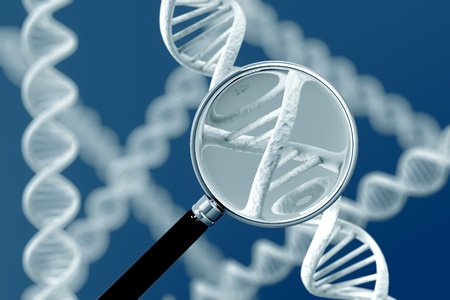 A magnifying glass focussing on a section of a DNA strand.の写真素材