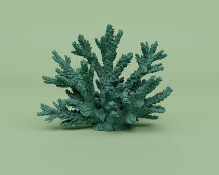 3d render of green coral isolated on Pastel background, 3d background minimal sceneの写真素材
