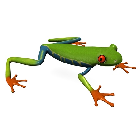 3d render of Agalychnis callidryasの写真素材