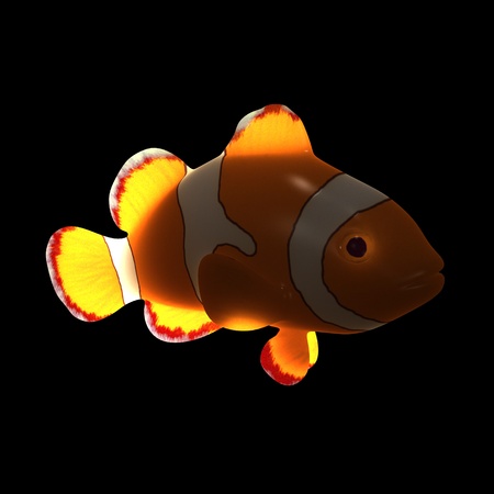 3d render of anemone fishの写真素材