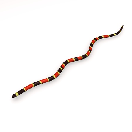 3d render of coral snakeの写真素材