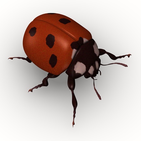 3d render of lady bugの写真素材