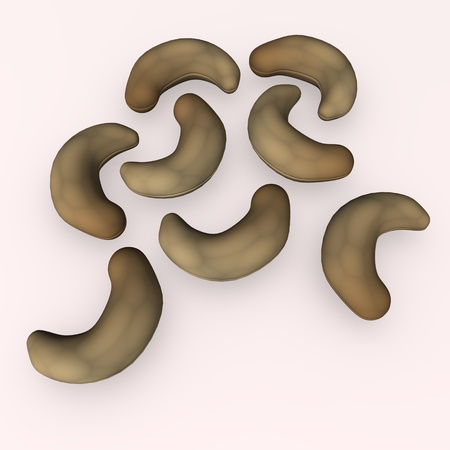 3d render of cashew nut の写真素材