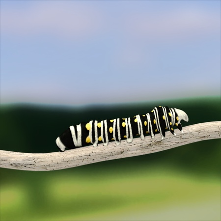 3d render of caterpillar (butterfly stadium) の写真素材