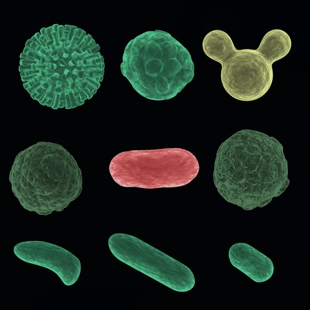 3d render of various cells 